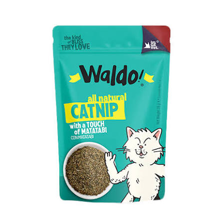 Waldo for Cats - CATNIP