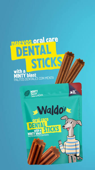 Waldo for Dogs - Dental Sticks