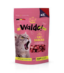 Waldo for Cats -Treats + Catnip - Salmón